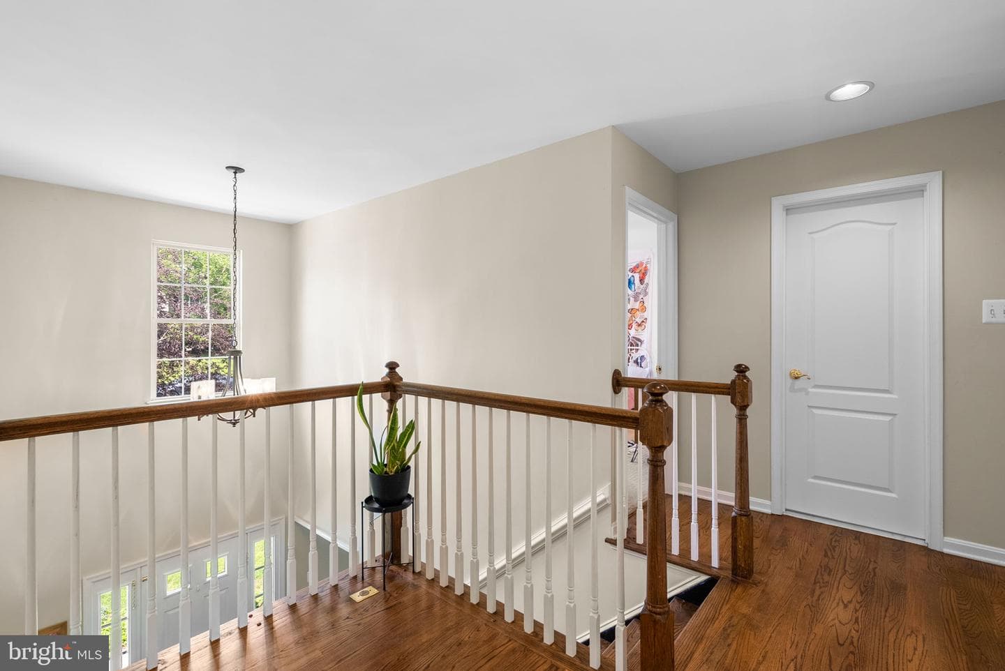 4041 Lomar photo 20