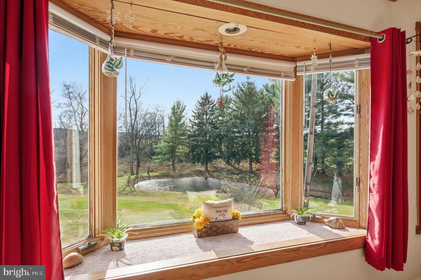 11856 Renner Road photo 13