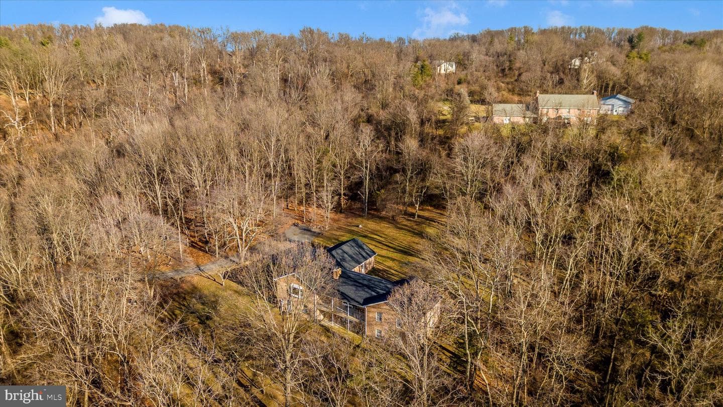 4521 Timbery Drive photo 45