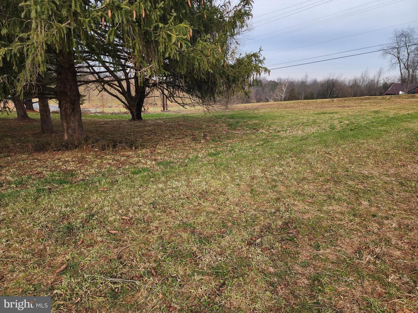 12613 Good Intent Road photo 10