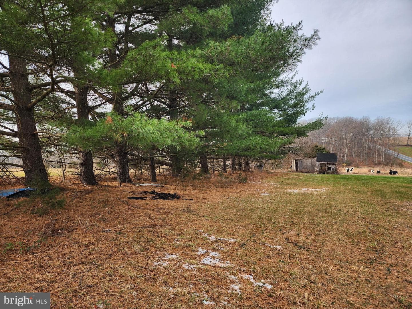 12613 Good Intent Road photo 6