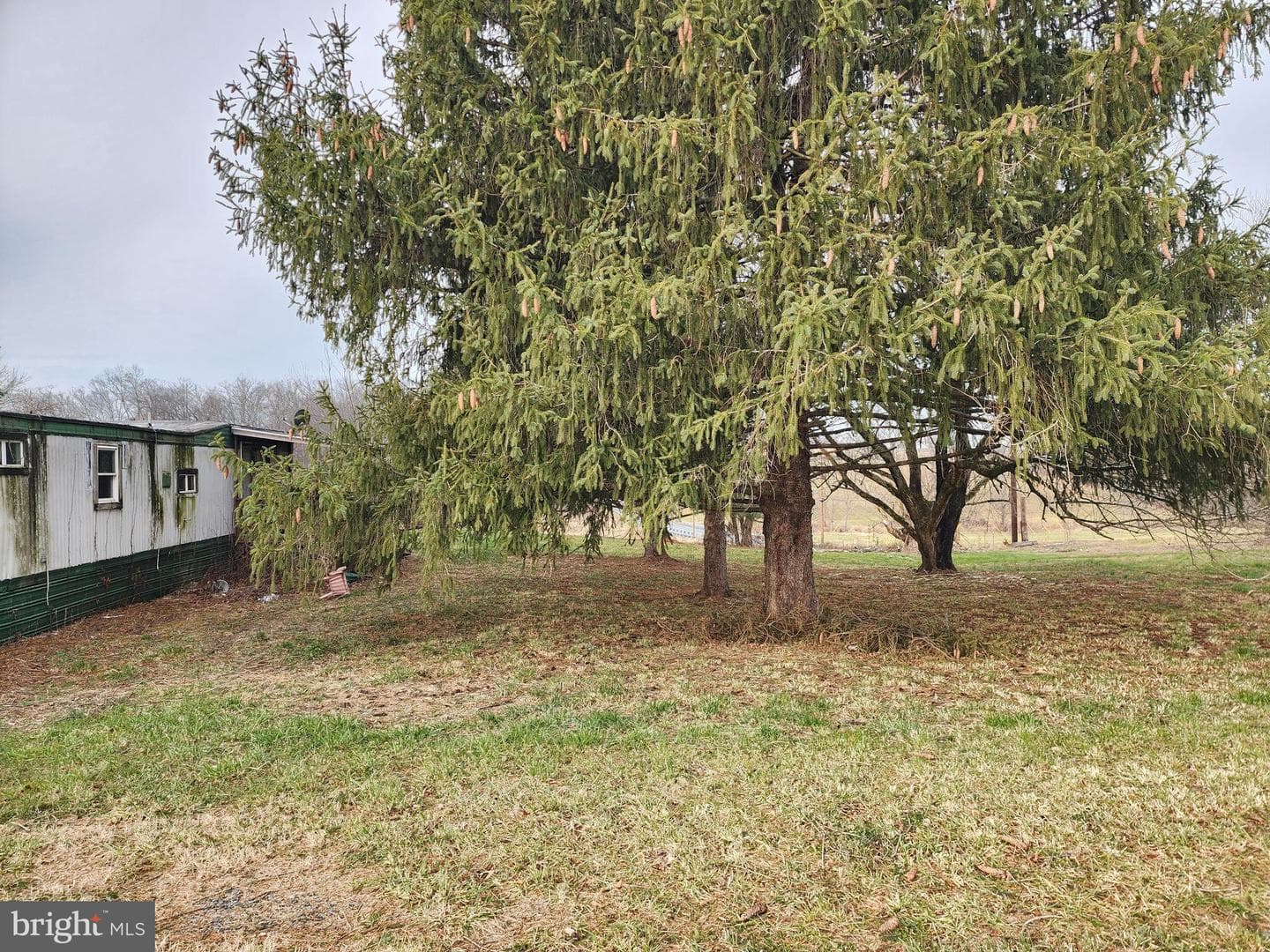 12613 Good Intent Road photo 9