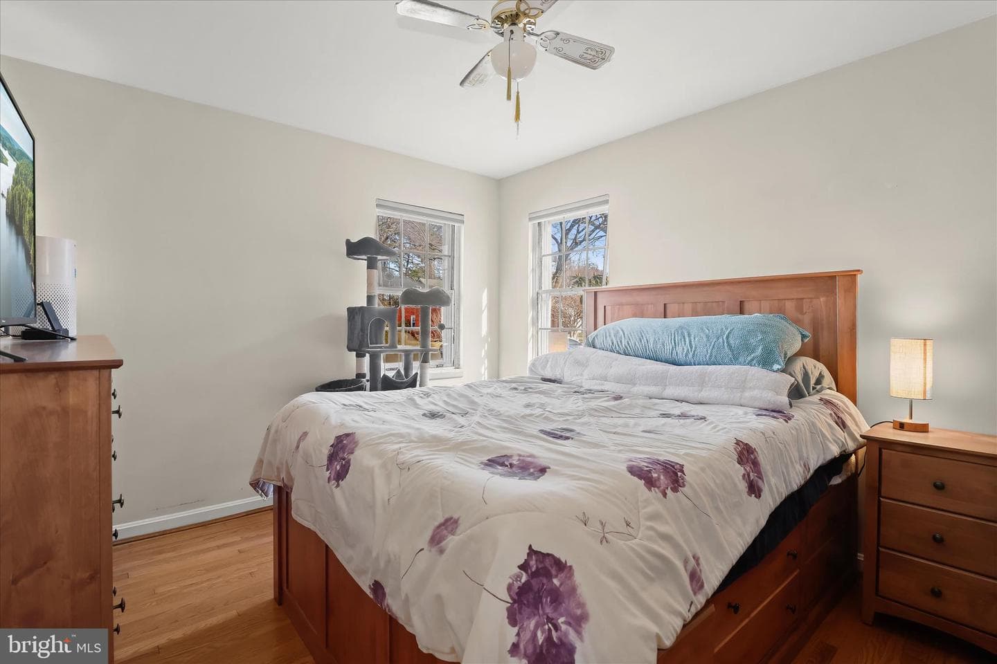 502 Biggs Avenue photo 13