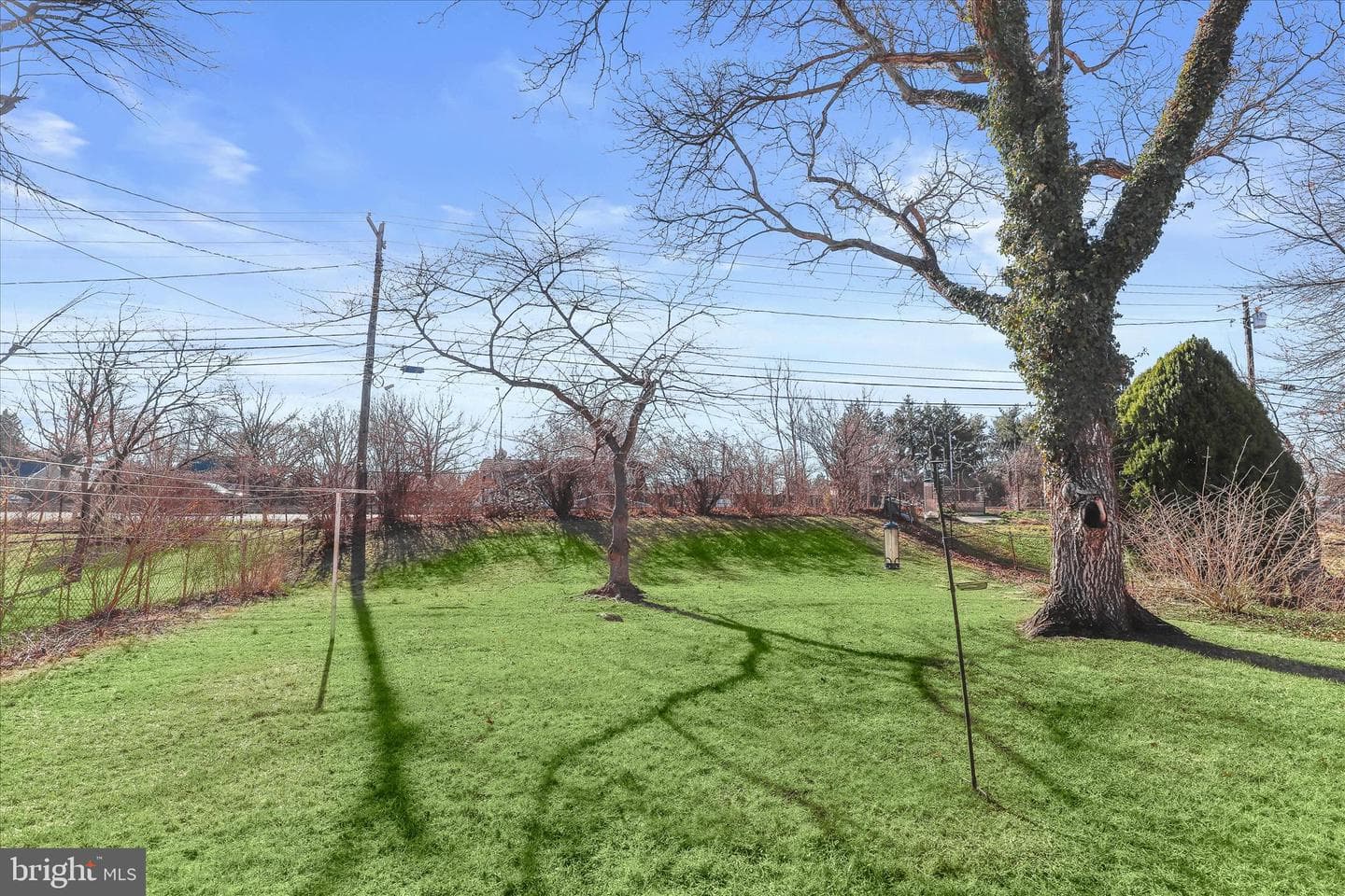 502 Biggs Avenue photo 16