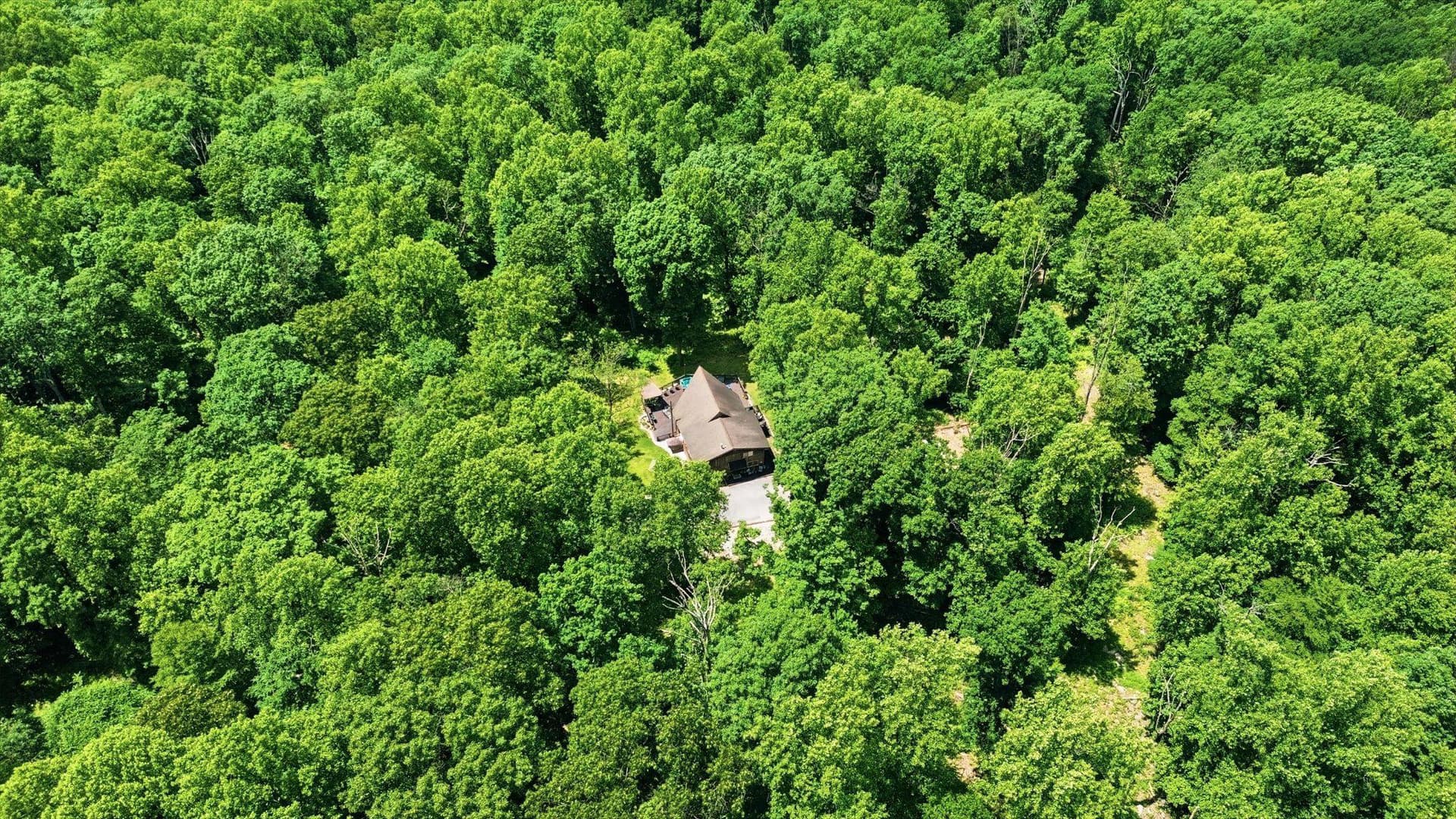 8939 Hawbottom Road photo 10