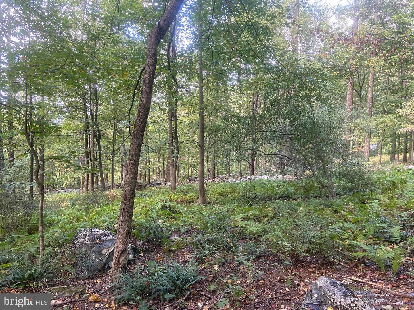 8939 Hawbottom Road photo 72