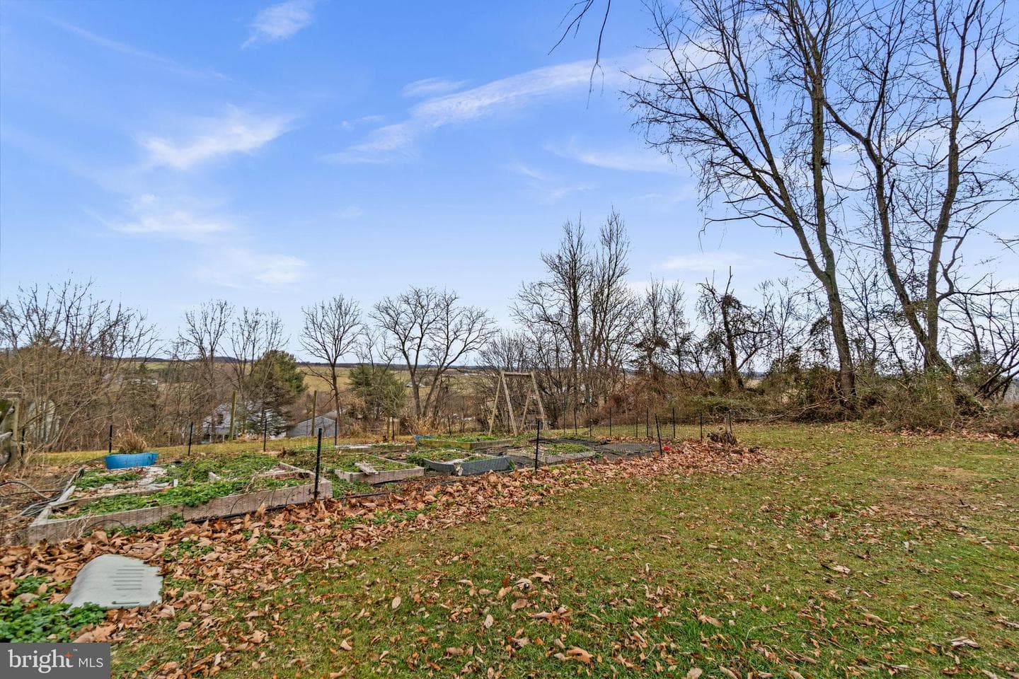 8393 Fordham Court photo 38