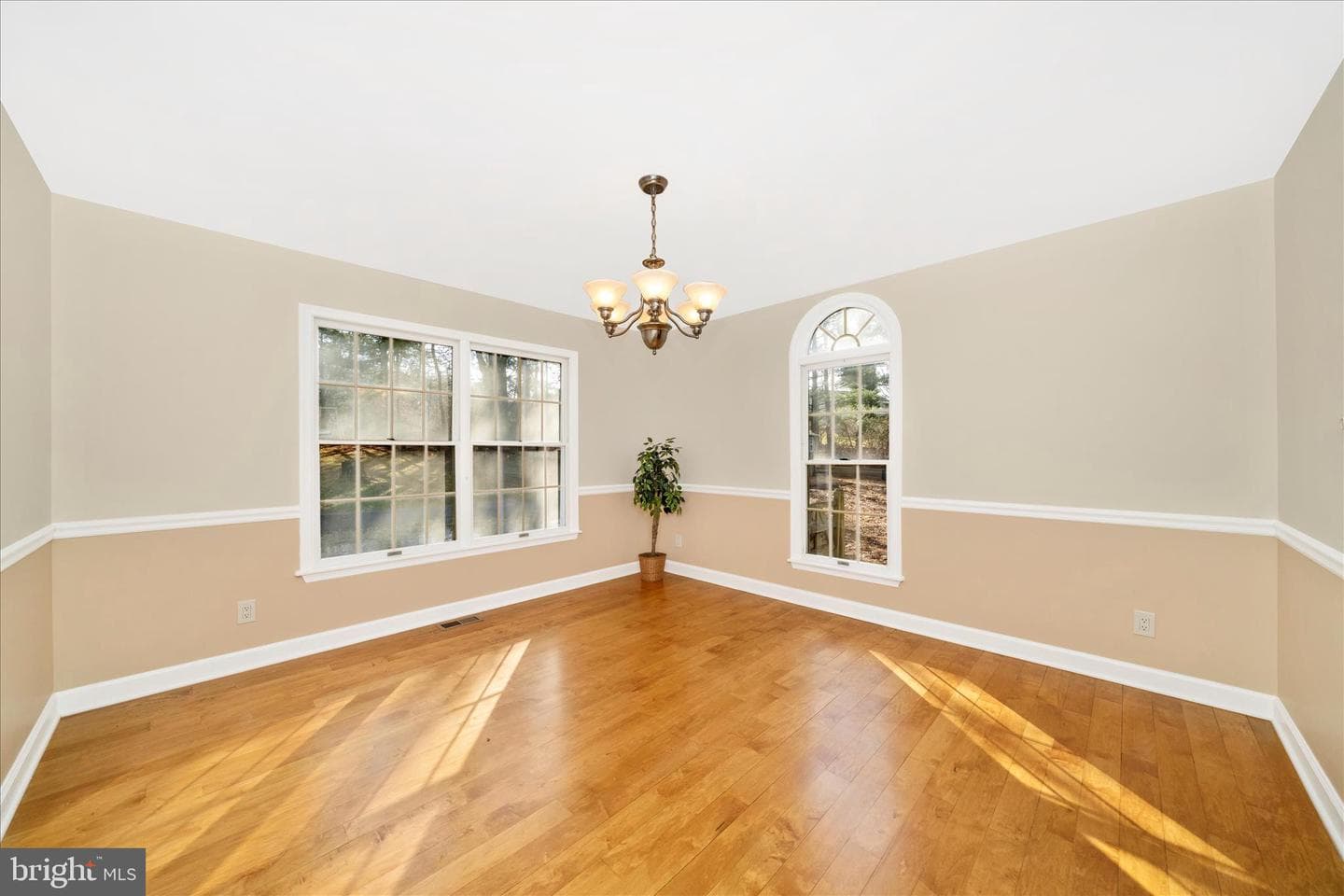 12407 Hill Court photo 17