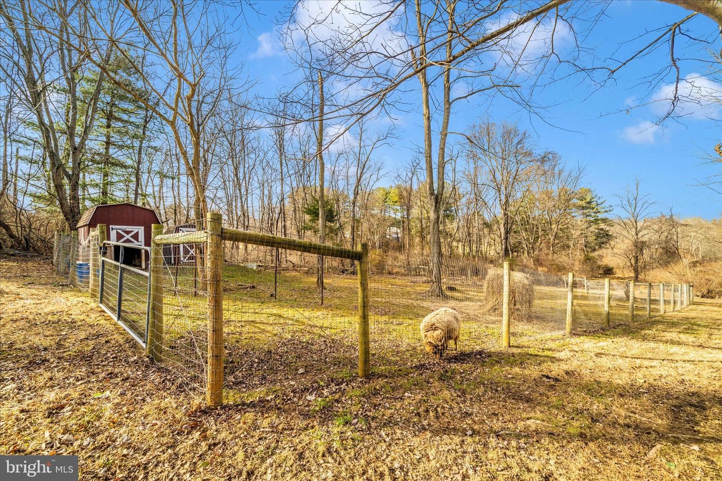 12407 Hill Court photo 64