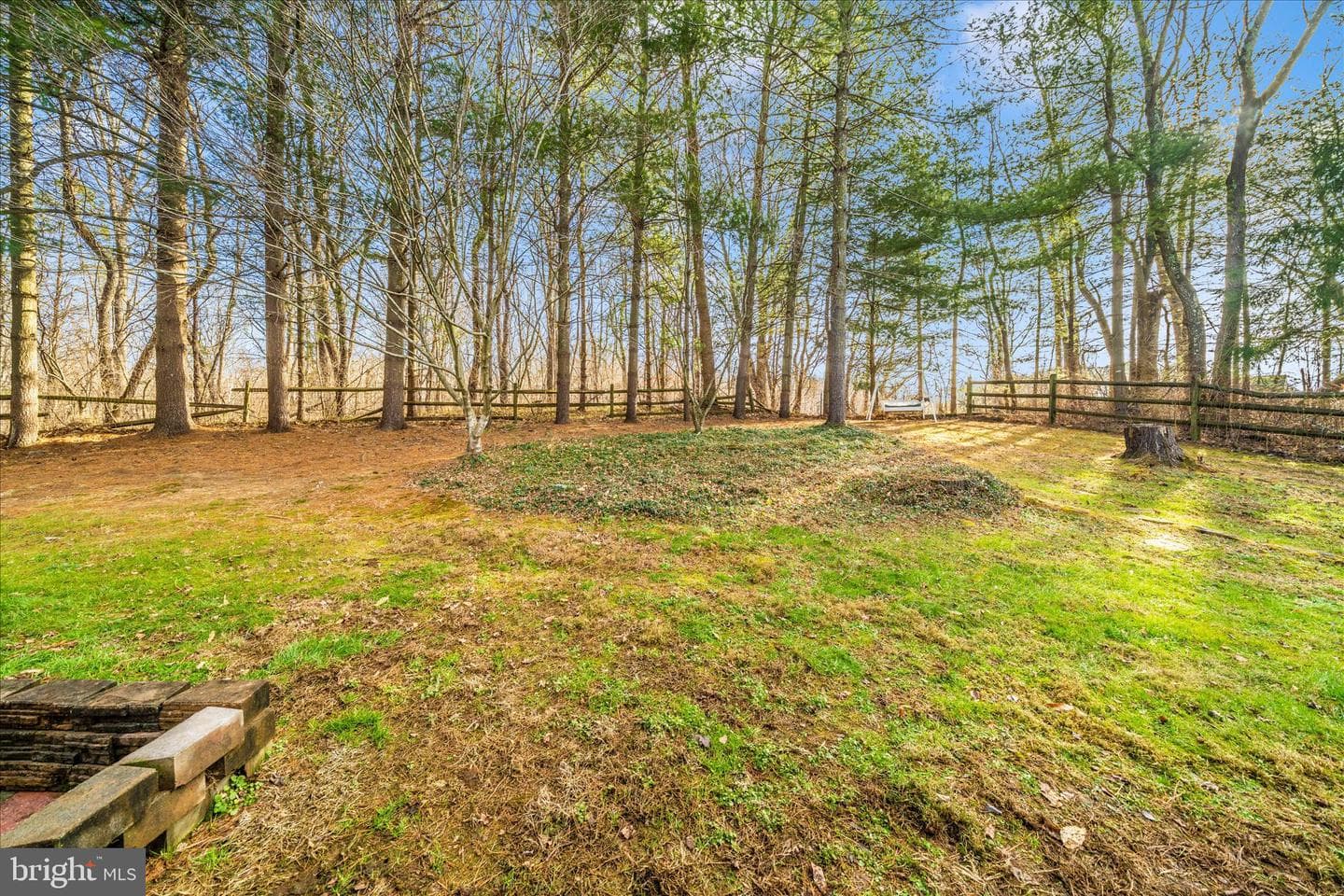 12407 Hill Court photo 65