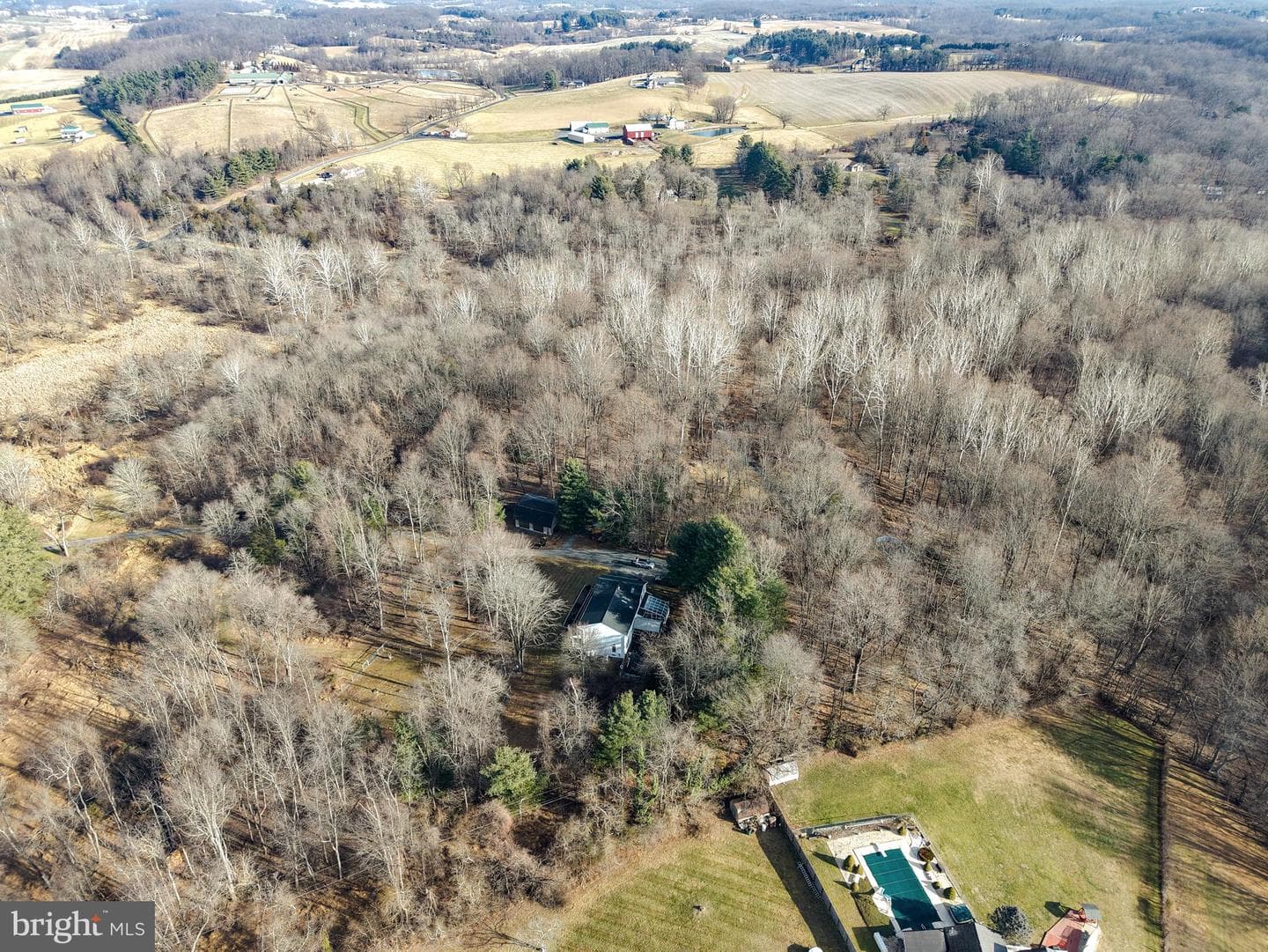12407 Hill Court photo 9