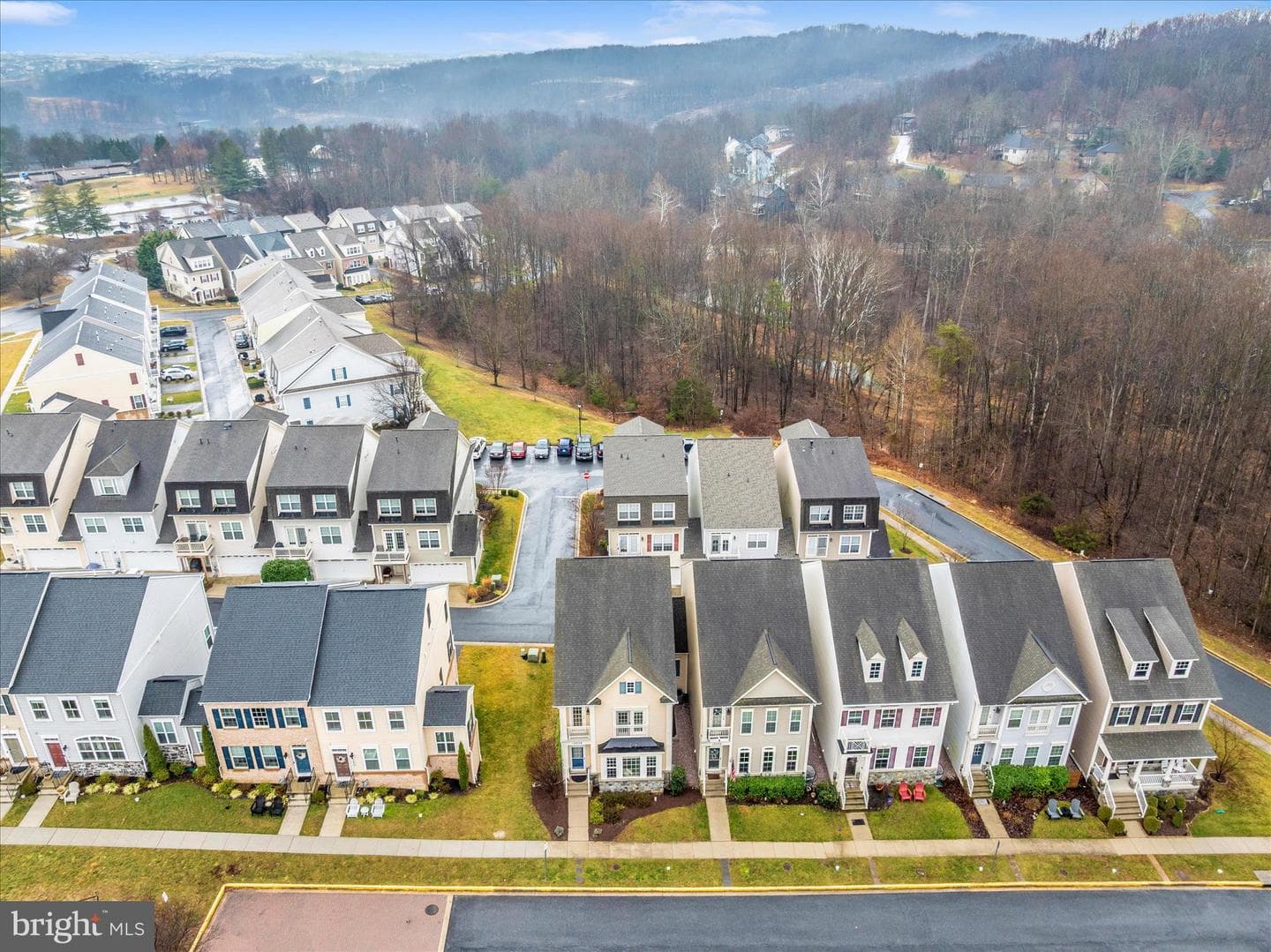 10228 Nuthatch Drive photo 47