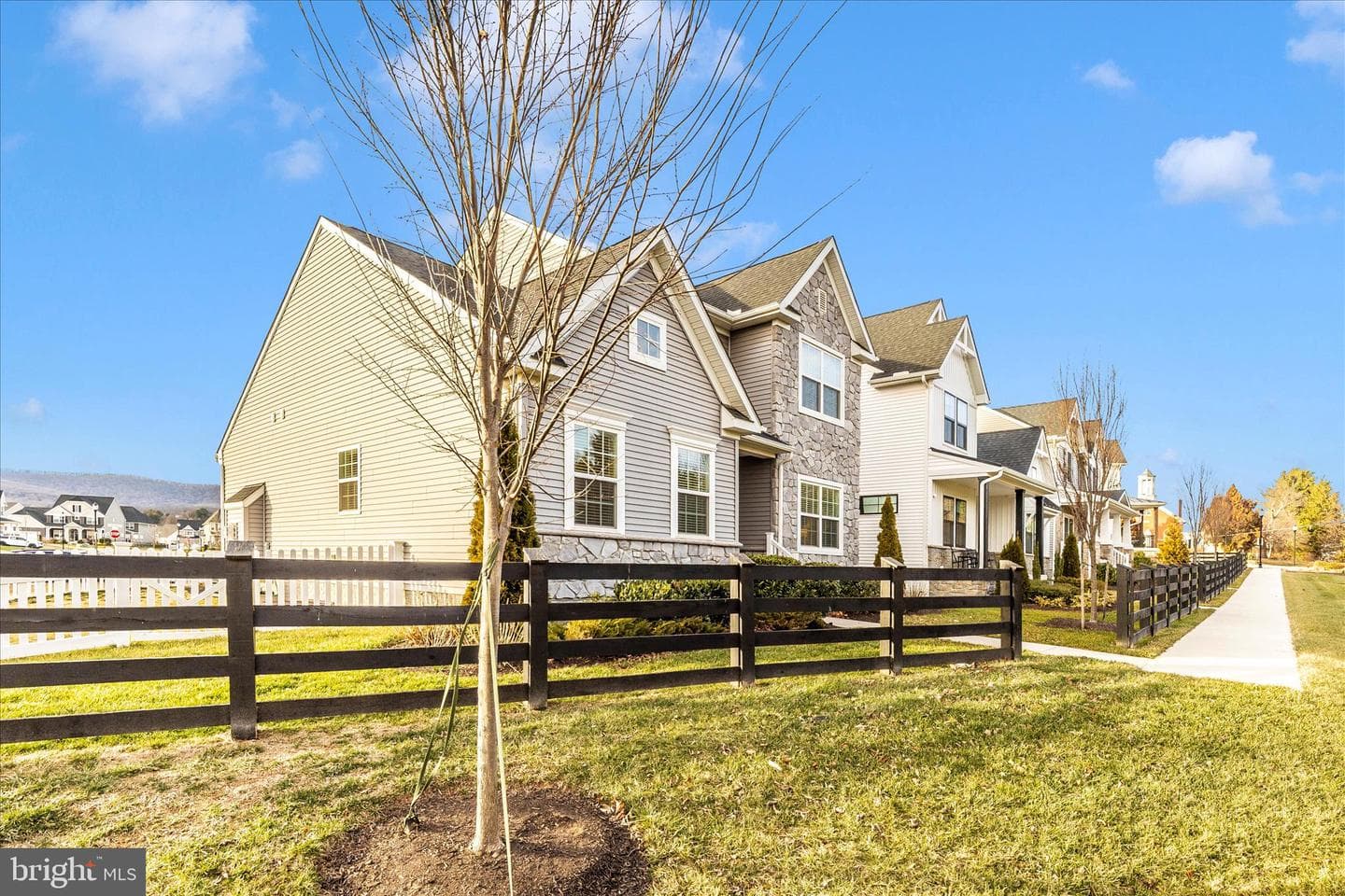 1600 Hobble Trail photo 44