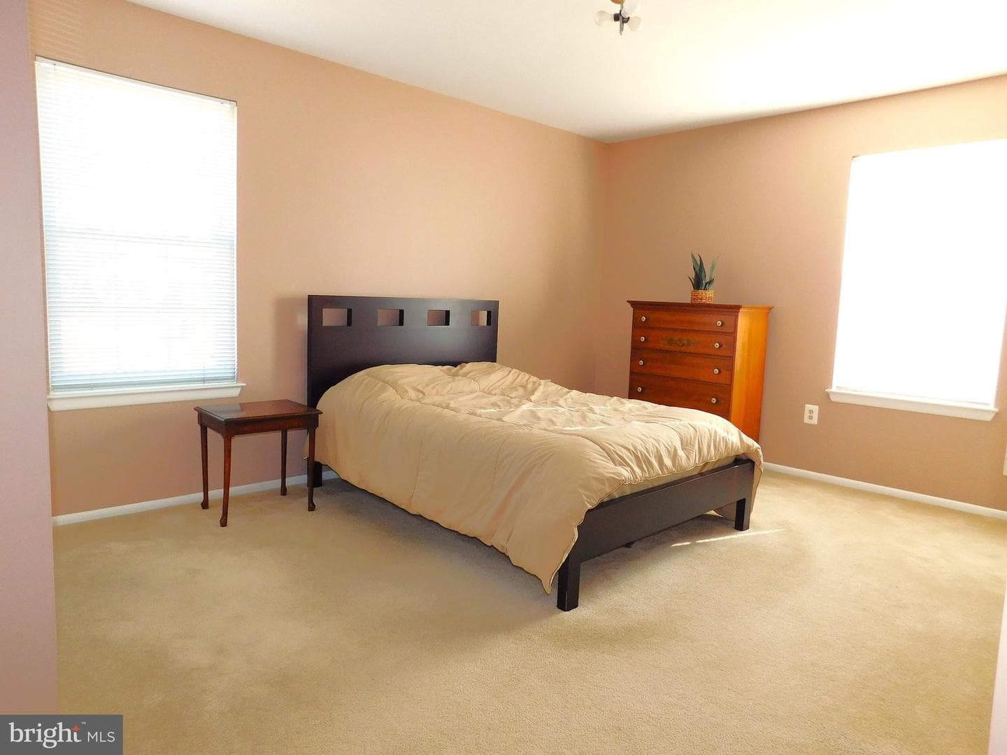 5640 Crabapple Drive photo 16