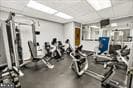 5640 Crabapple Drive photo 41