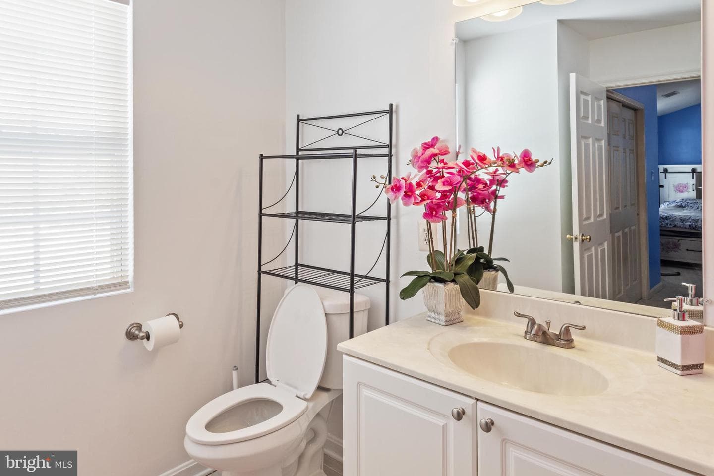201 Shannonbrook Lane photo 13