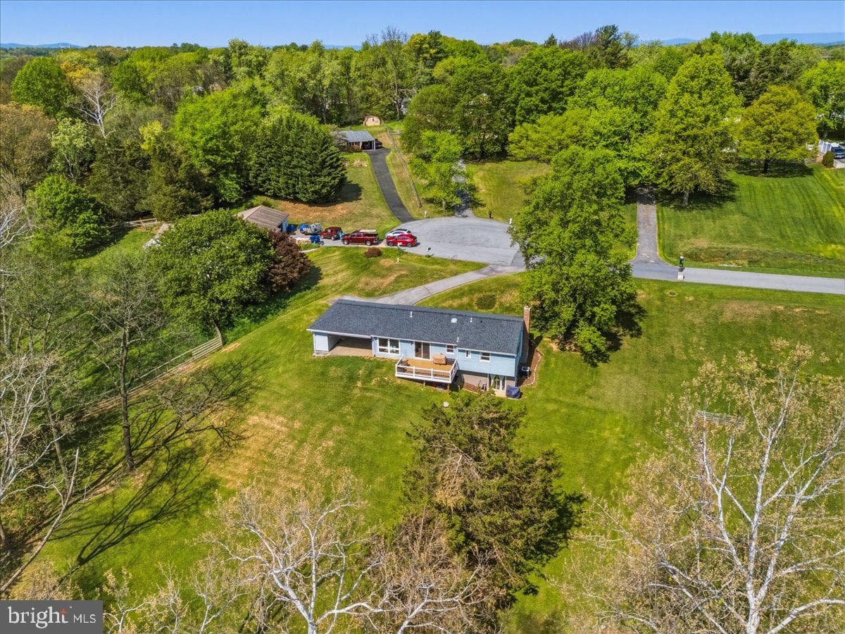 4389 Moleton Drive photo 10