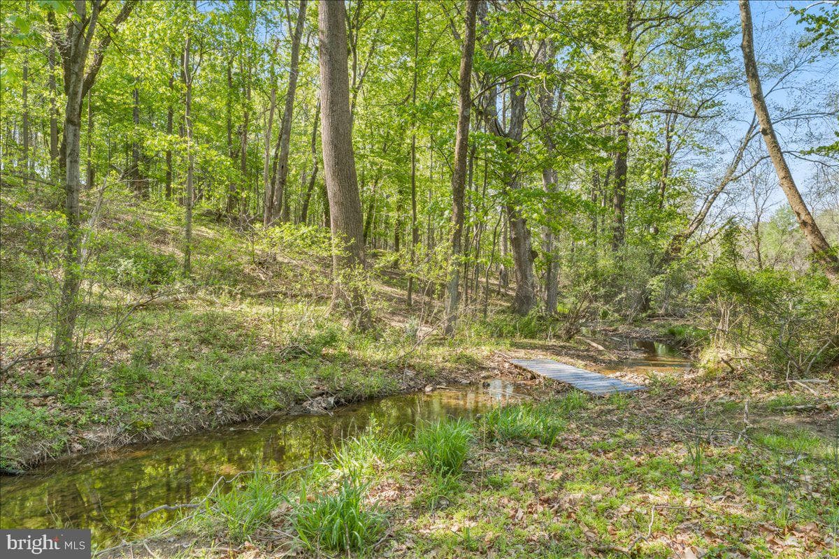 4389 Moleton Drive photo 11
