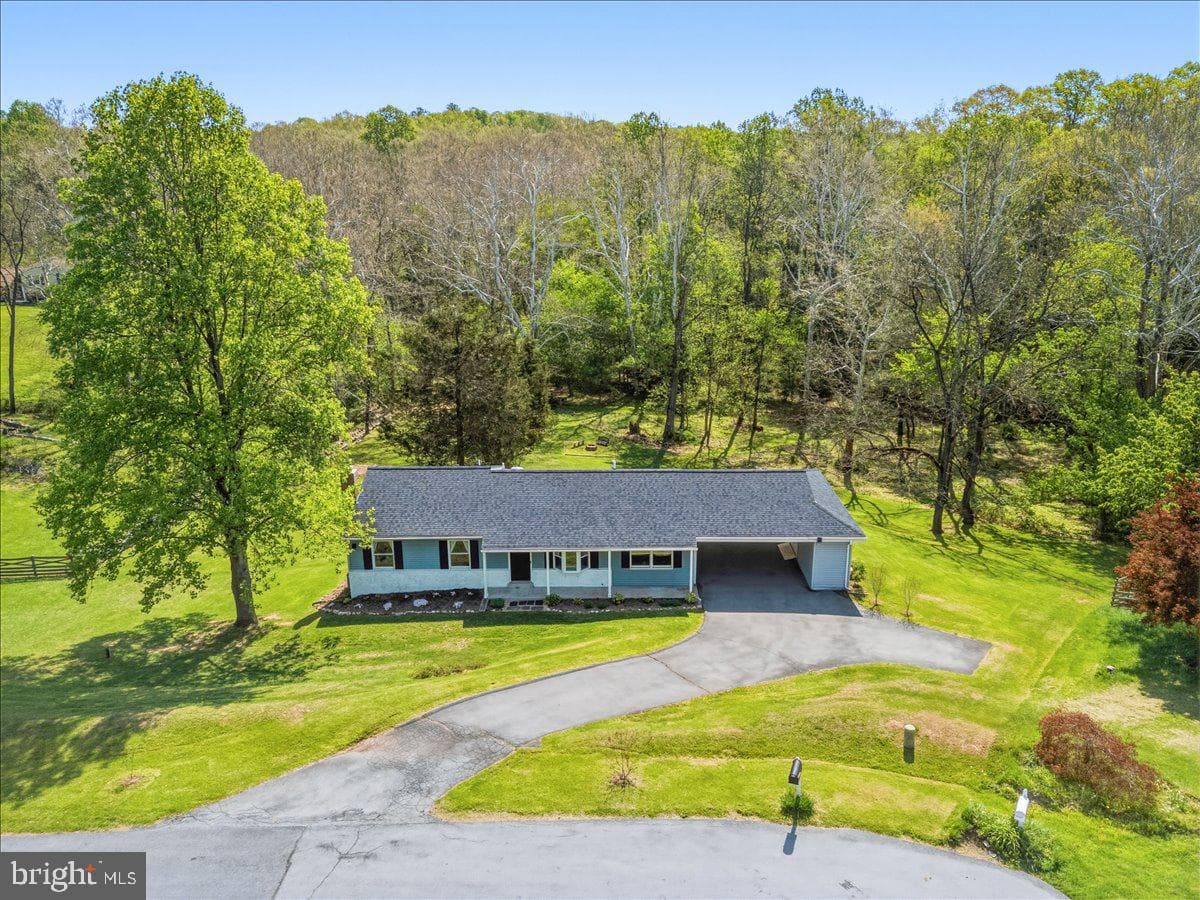 4389 Moleton Drive photo 75