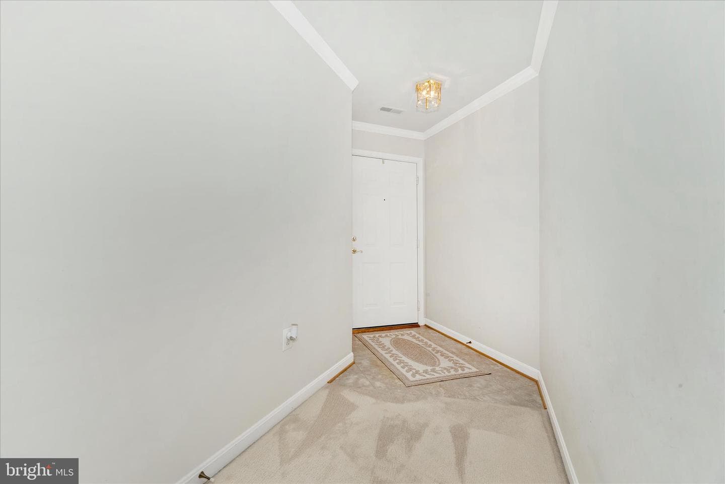 2504 Shelley Circle #1-C photo 4