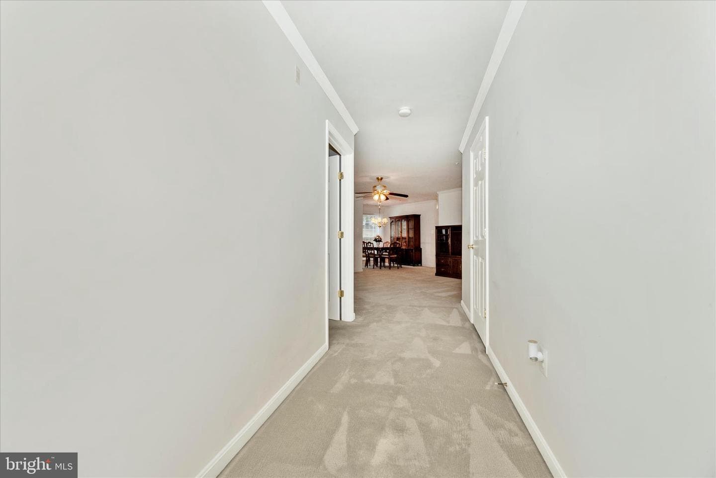 2504 Shelley Circle #1-C photo 5