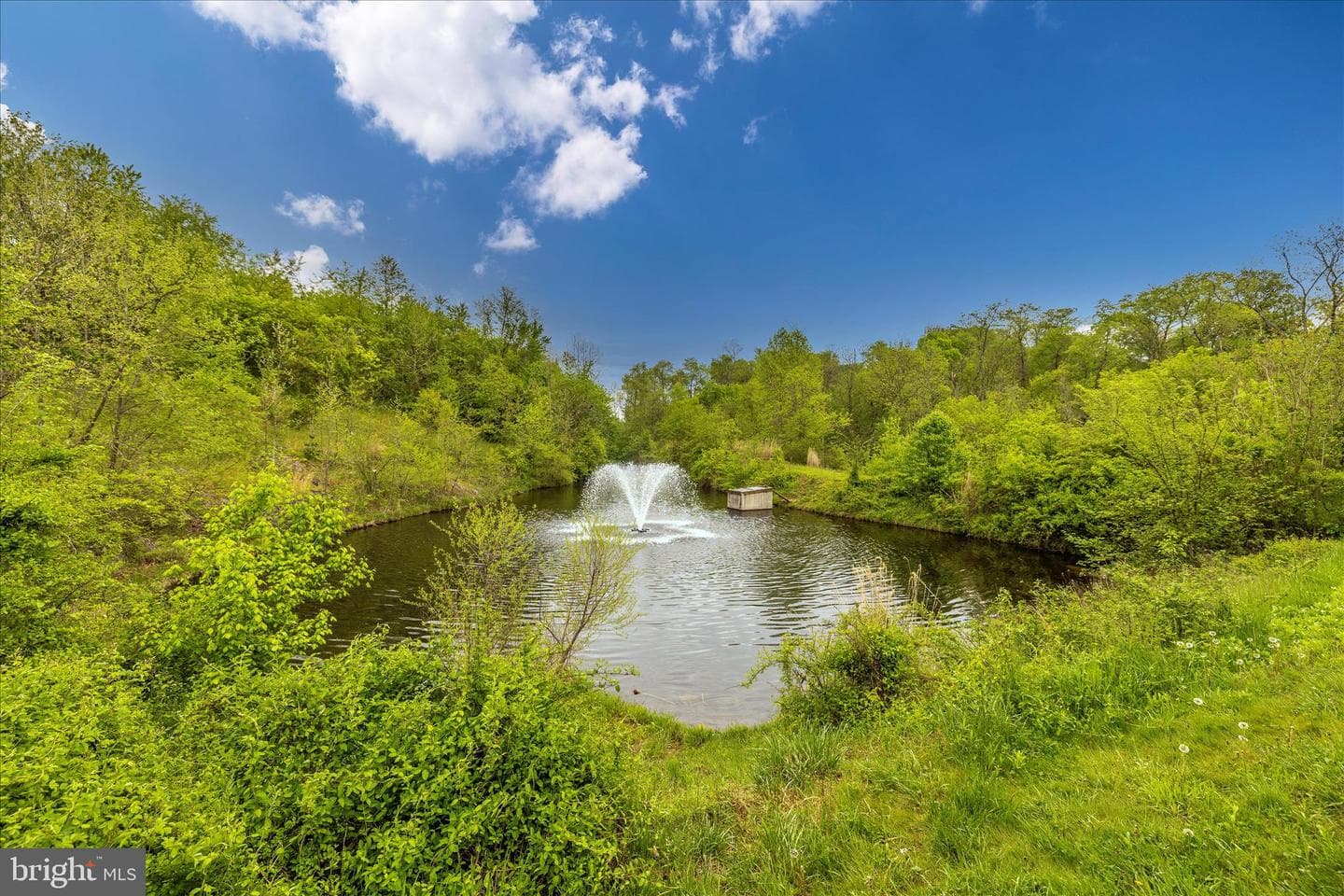 11008 Country Club Road photo 72