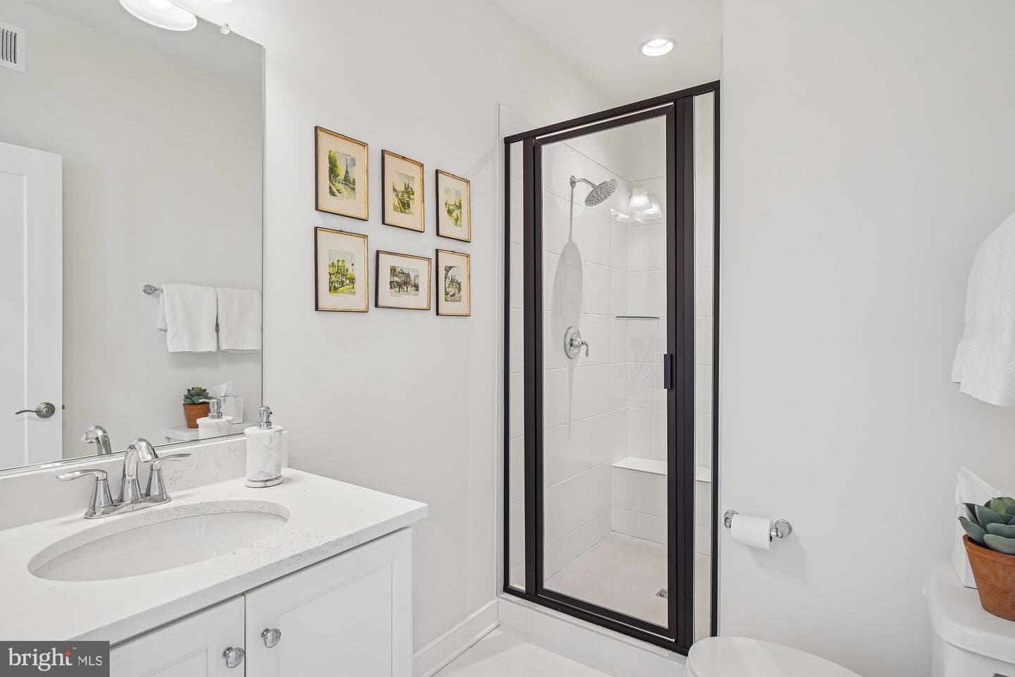 8776 Walnut Bottom Lane photo 15
