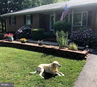 4205 Rolling Acres Drive photo 1