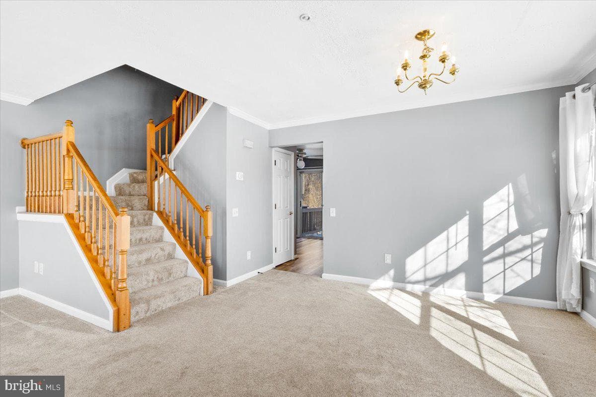 5636 Ashburn Terrace photo 12