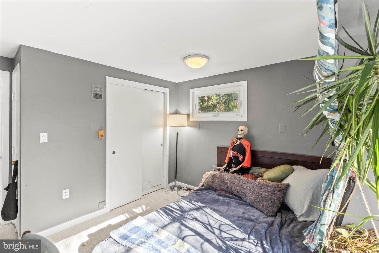 10399 Hedgeapple Bnd photo 16