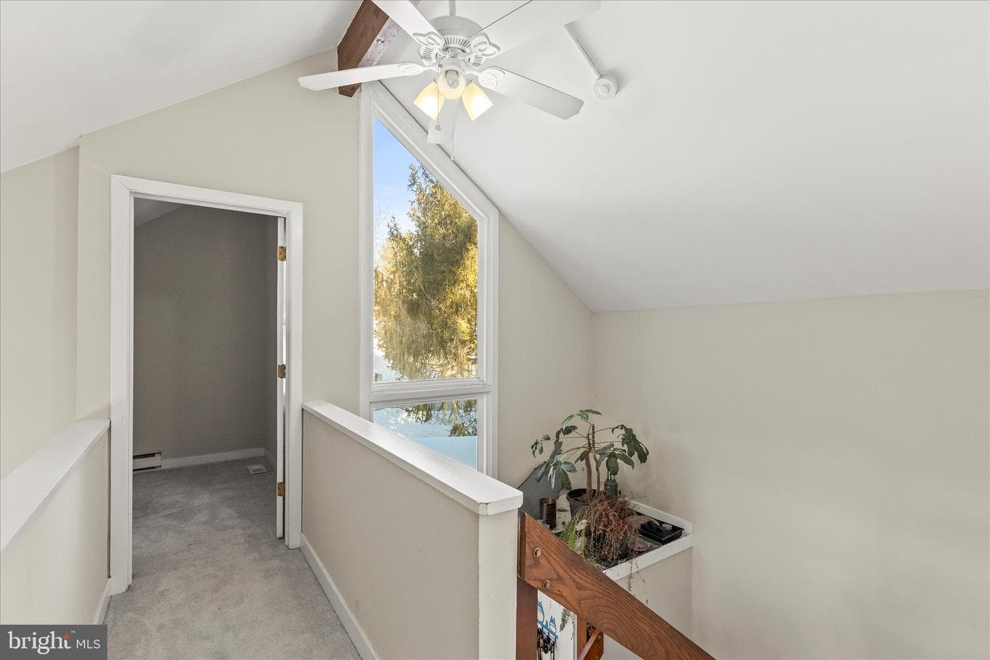10399 Hedgeapple Bnd photo 19
