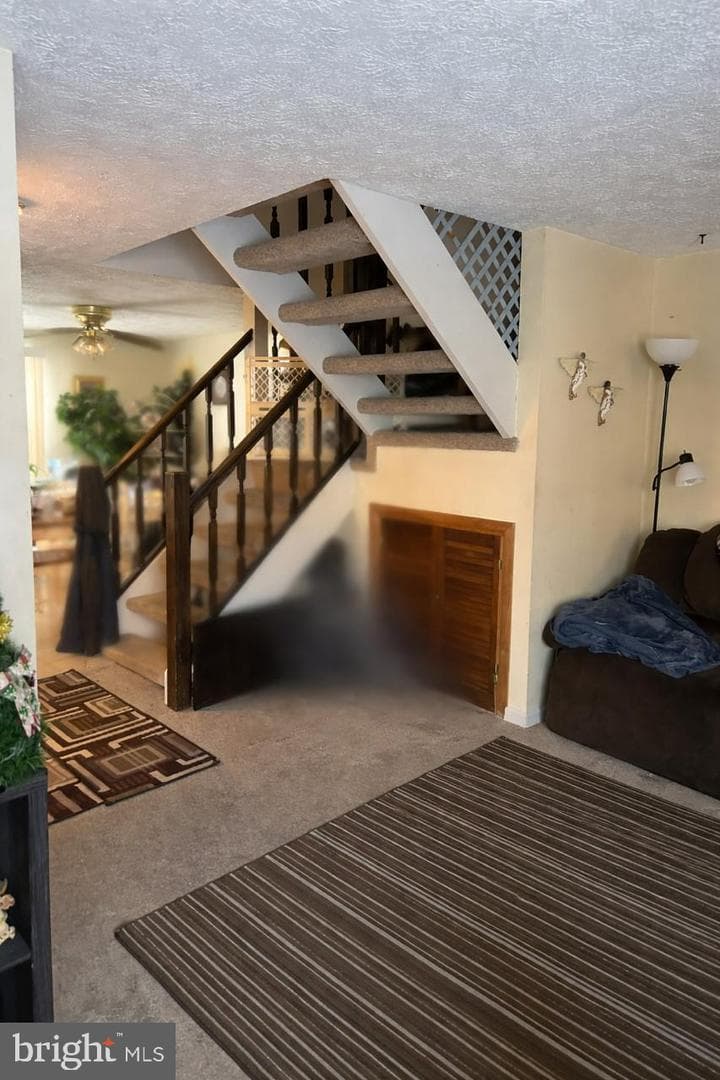 545 Beebe Court photo 4