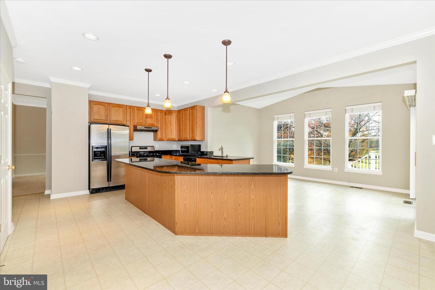 102 Sunlight Drive photo 10