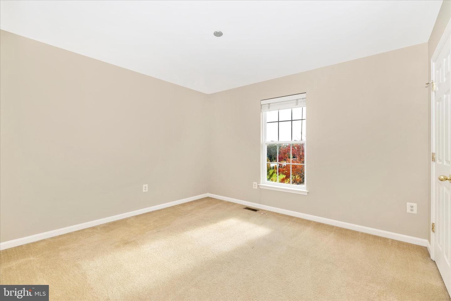 102 Sunlight Drive photo 19