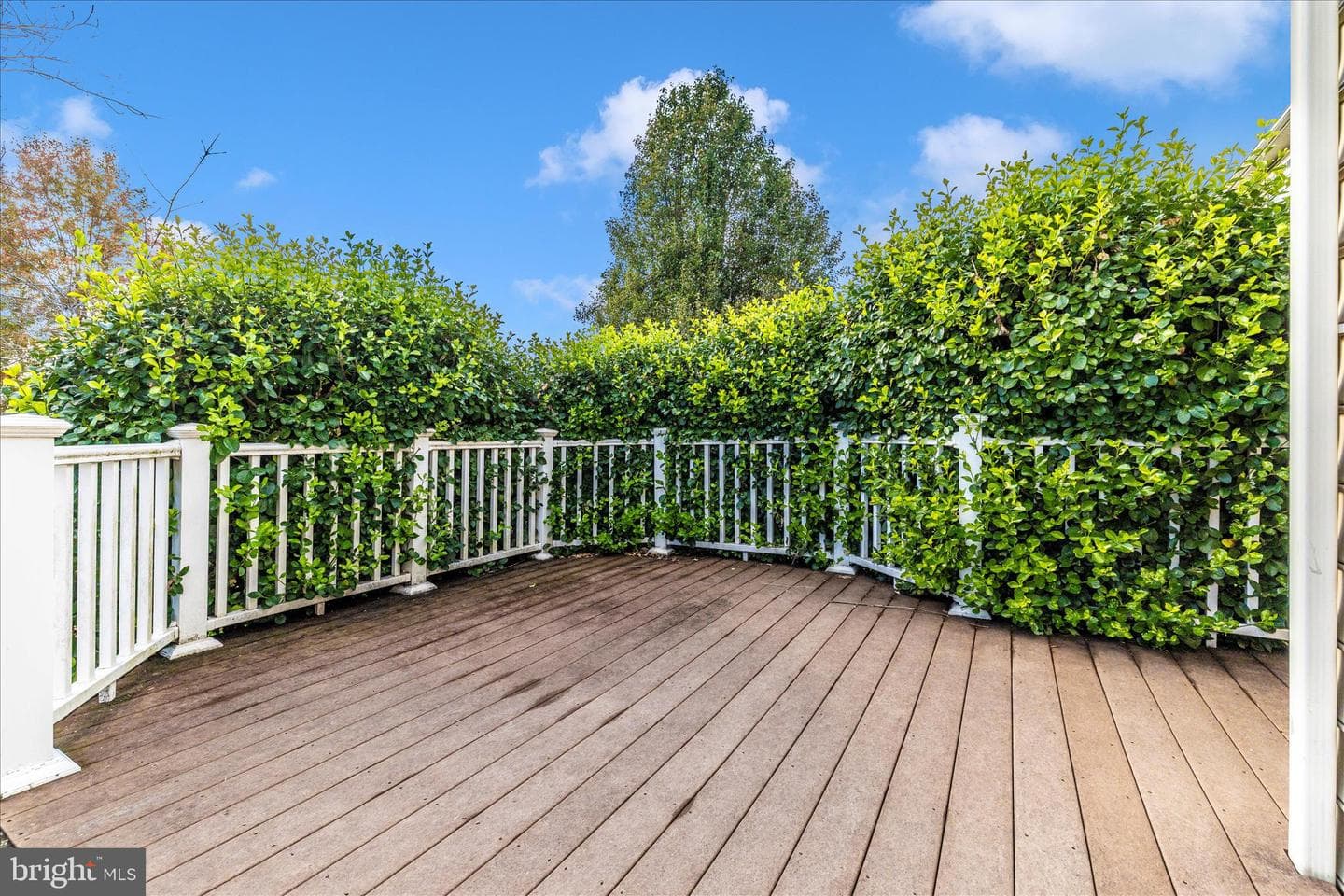 102 Sunlight Drive photo 53