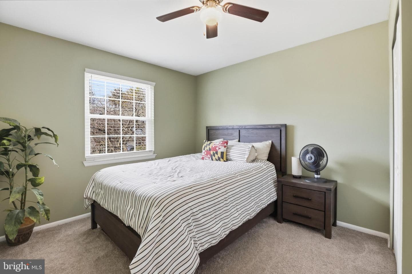 6844 Carnation Circle photo 23