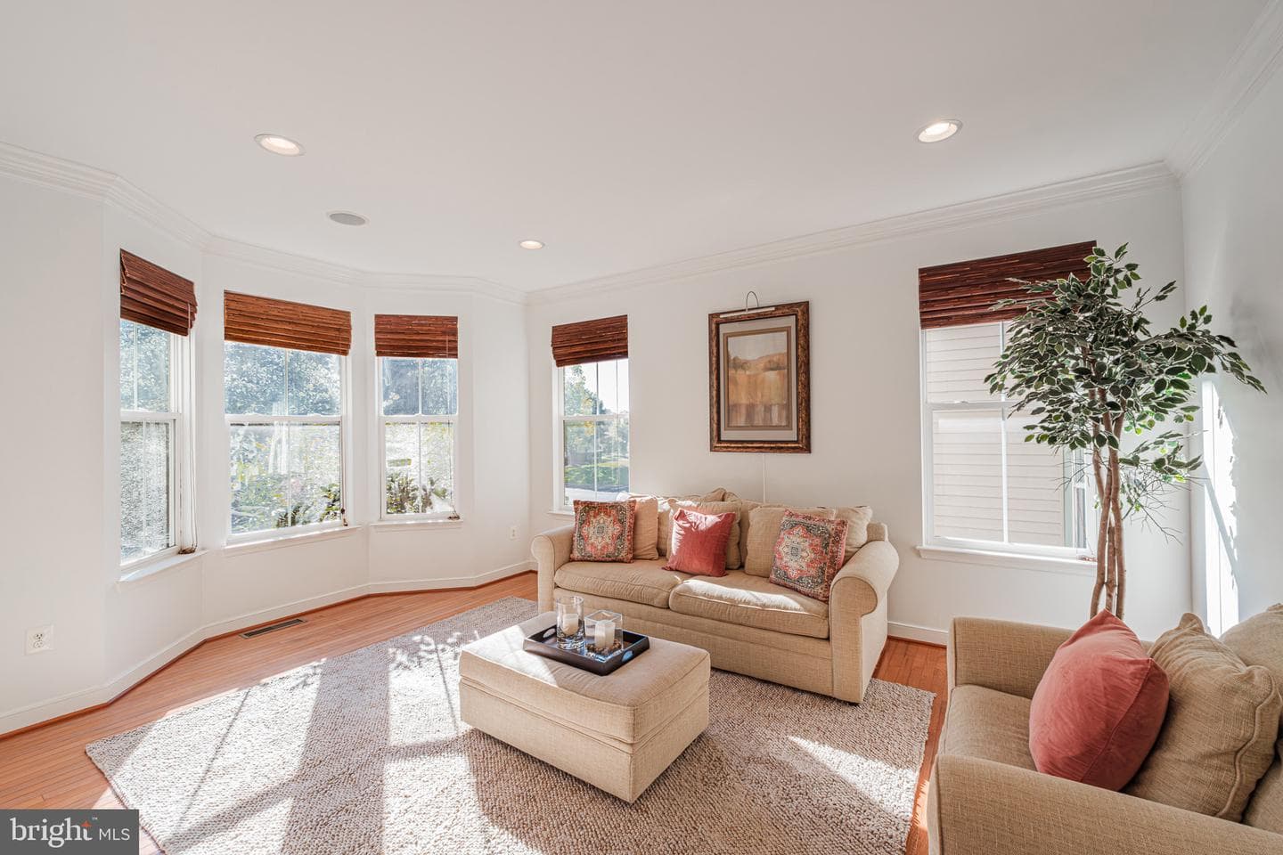 3830 Braveheart Drive photo 8
