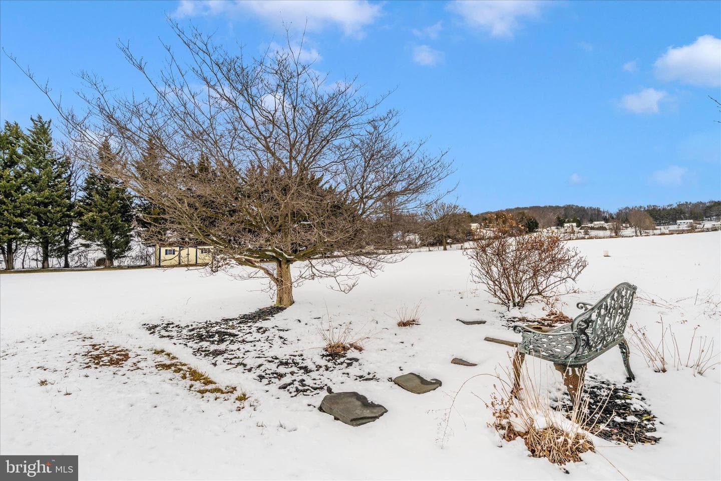 10224 Allview Drive photo 56