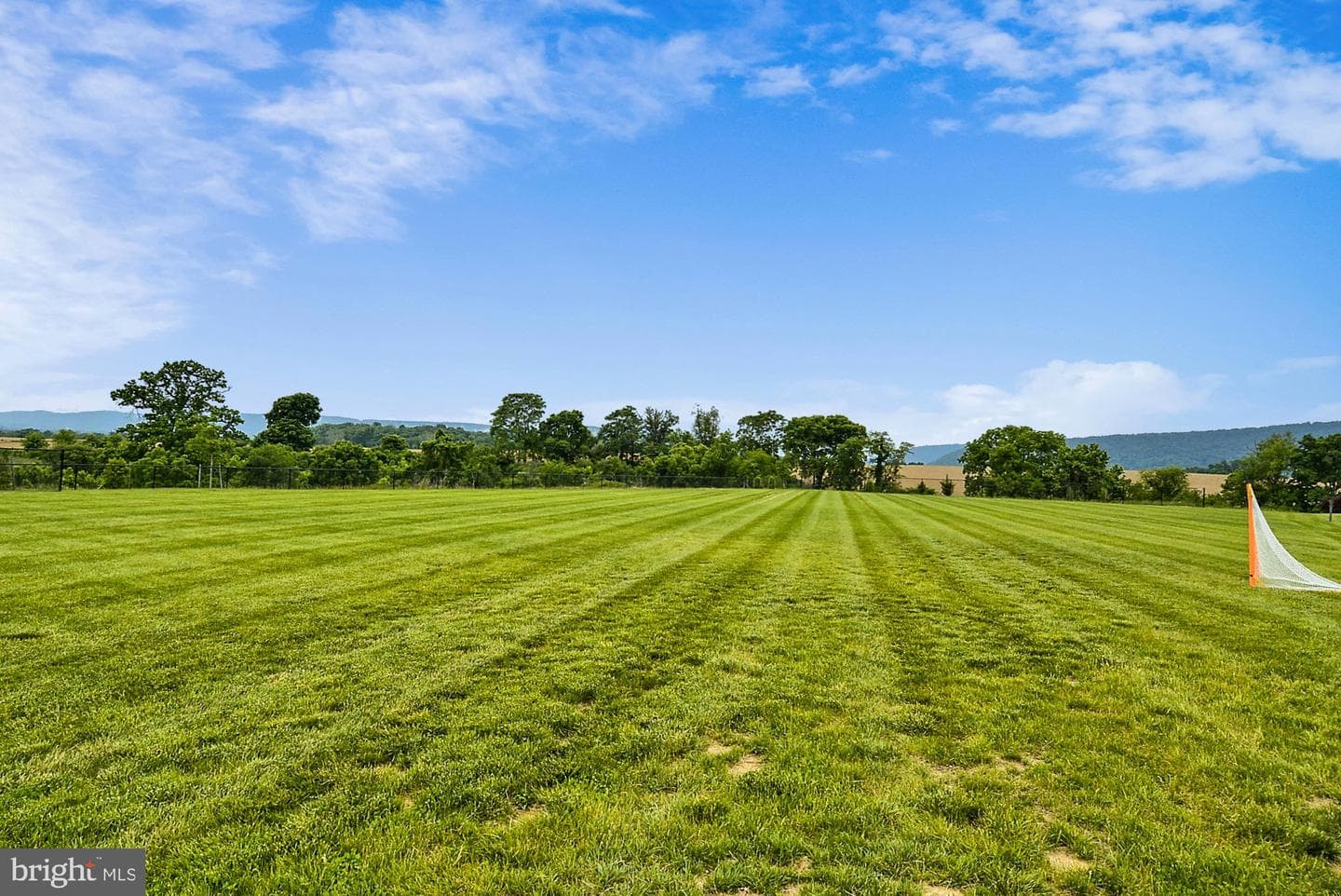 1318 Monocacy Crossing Parkway photo 49