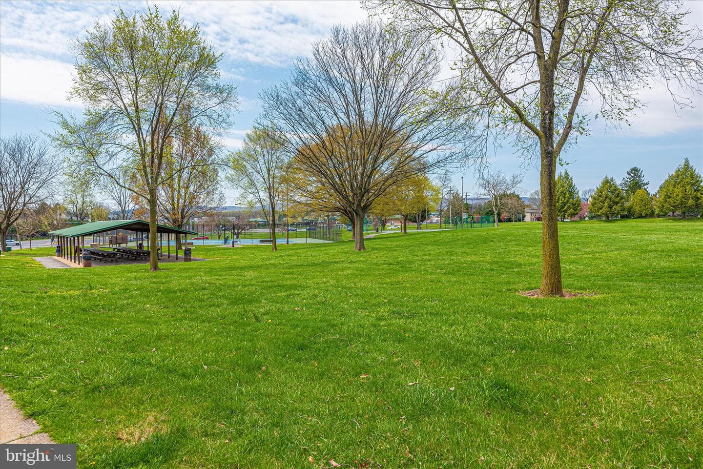 1703 Heather Lane photo 59