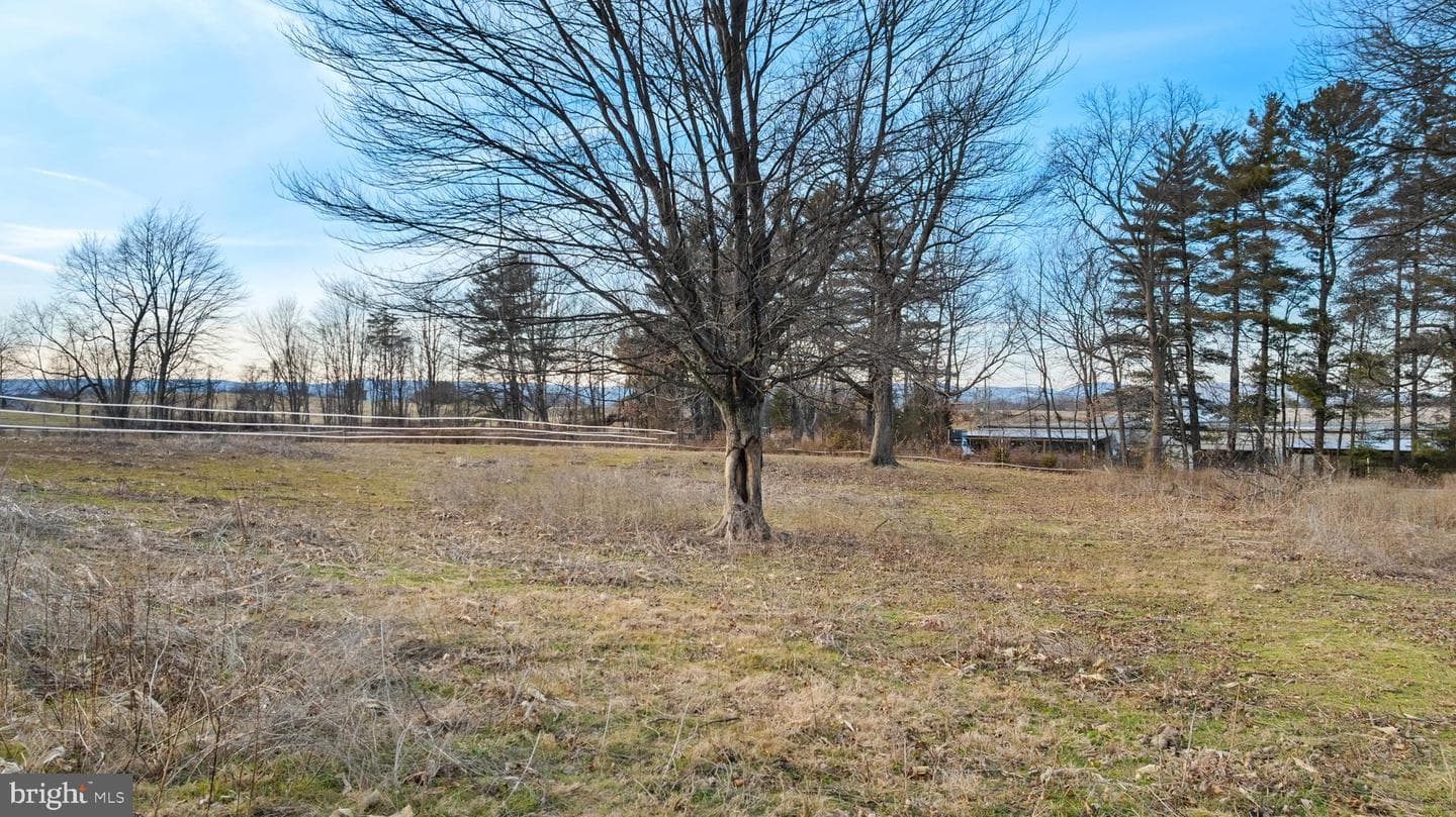 12420 Smith Lane photo 69