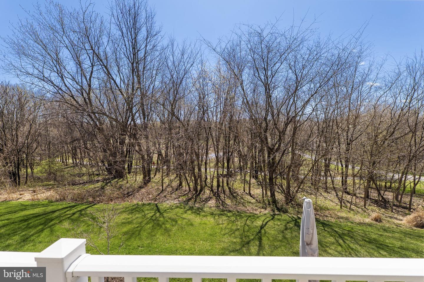 2419 Mill Race Road photo 39