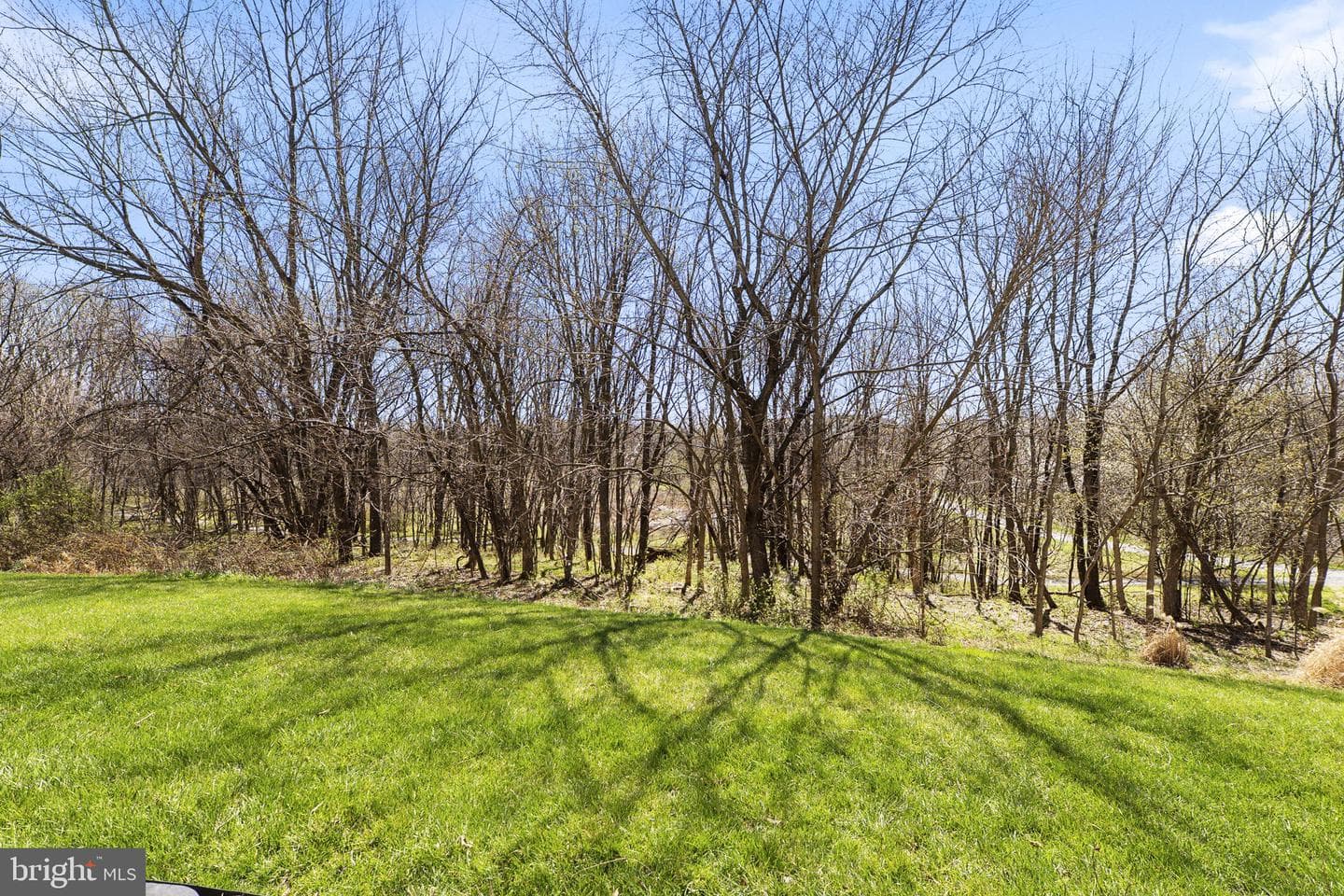 2419 Mill Race Road photo 79