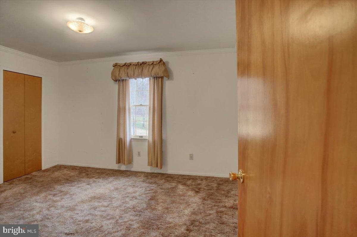 16024 Foxville Deerfield Road photo 26