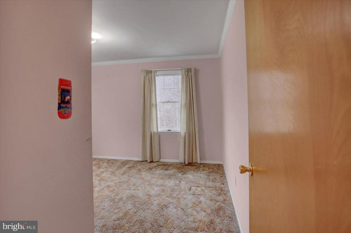 16024 Foxville Deerfield Road photo 30