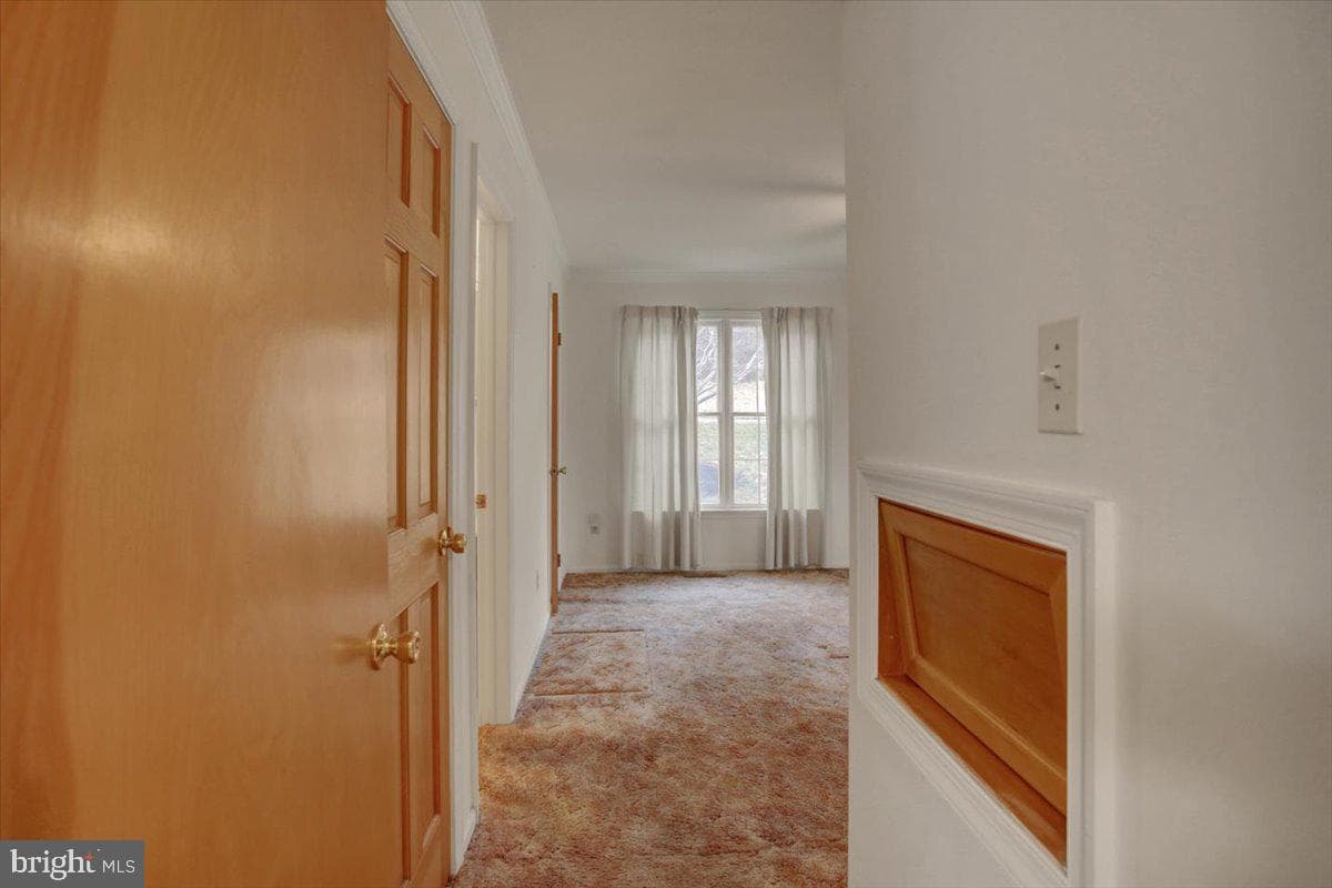 16024 Foxville Deerfield Road photo 32