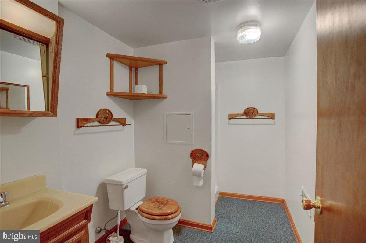 16024 Foxville Deerfield Road photo 49