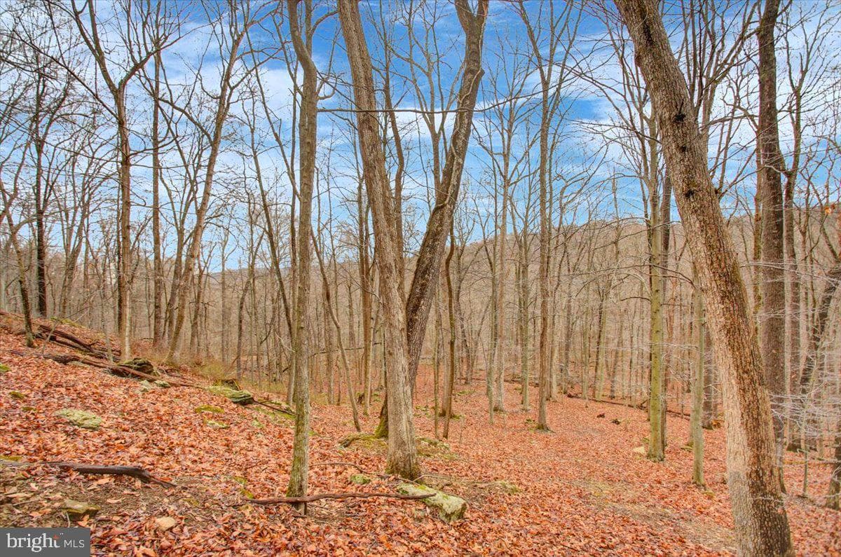 16024 Foxville Deerfield Road photo 76