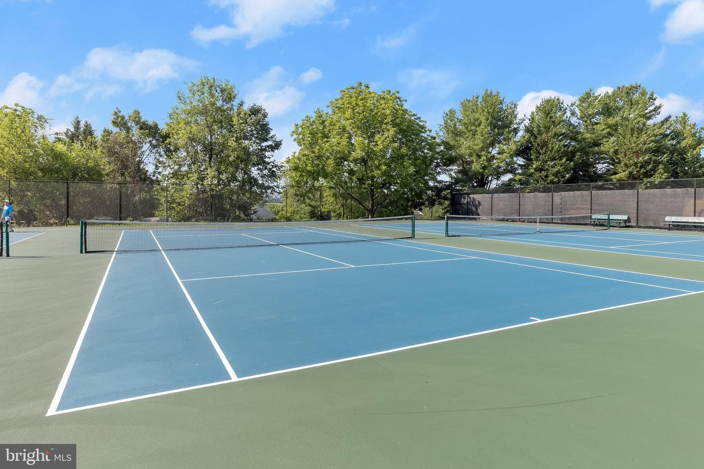 6072 Fallfish Court photo 91