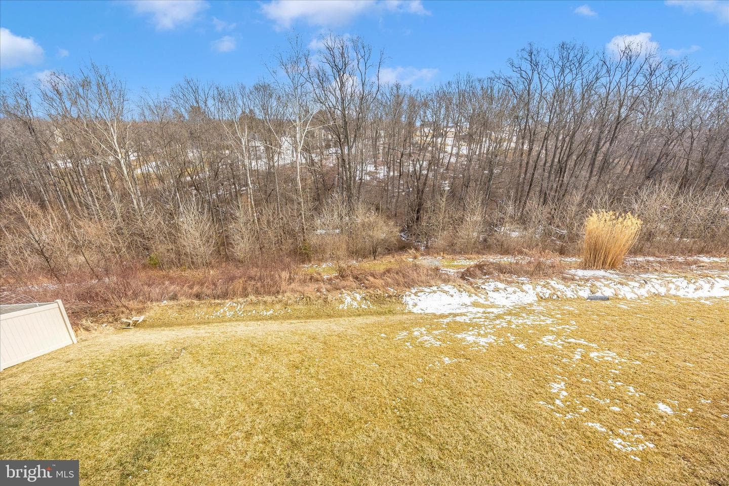6035 Fallfish photo 47